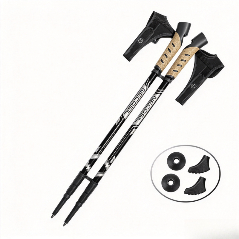 2 paia di bastoncini da trekki - Trekking Pole Carbon recensione e prezzo