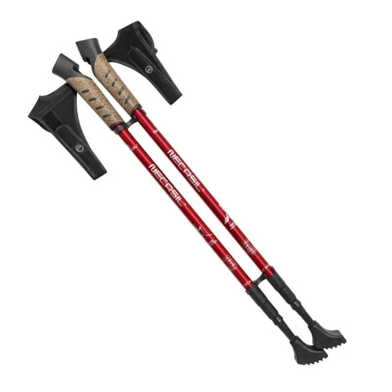 2 paia di bastoncini da trekki - Trekking Pole Carbon recensione e prezzo