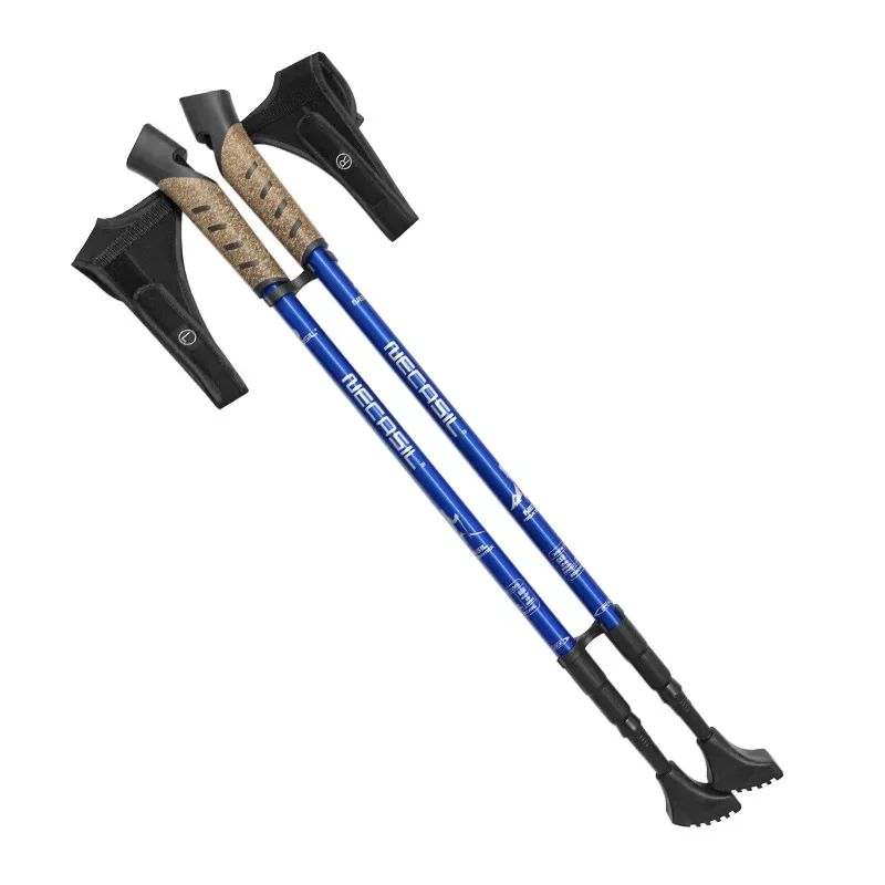 2 paia di bastoncini da trekki - Trekking Pole Carbon recensione e prezzo